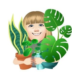 Meet your Posher, Colleen